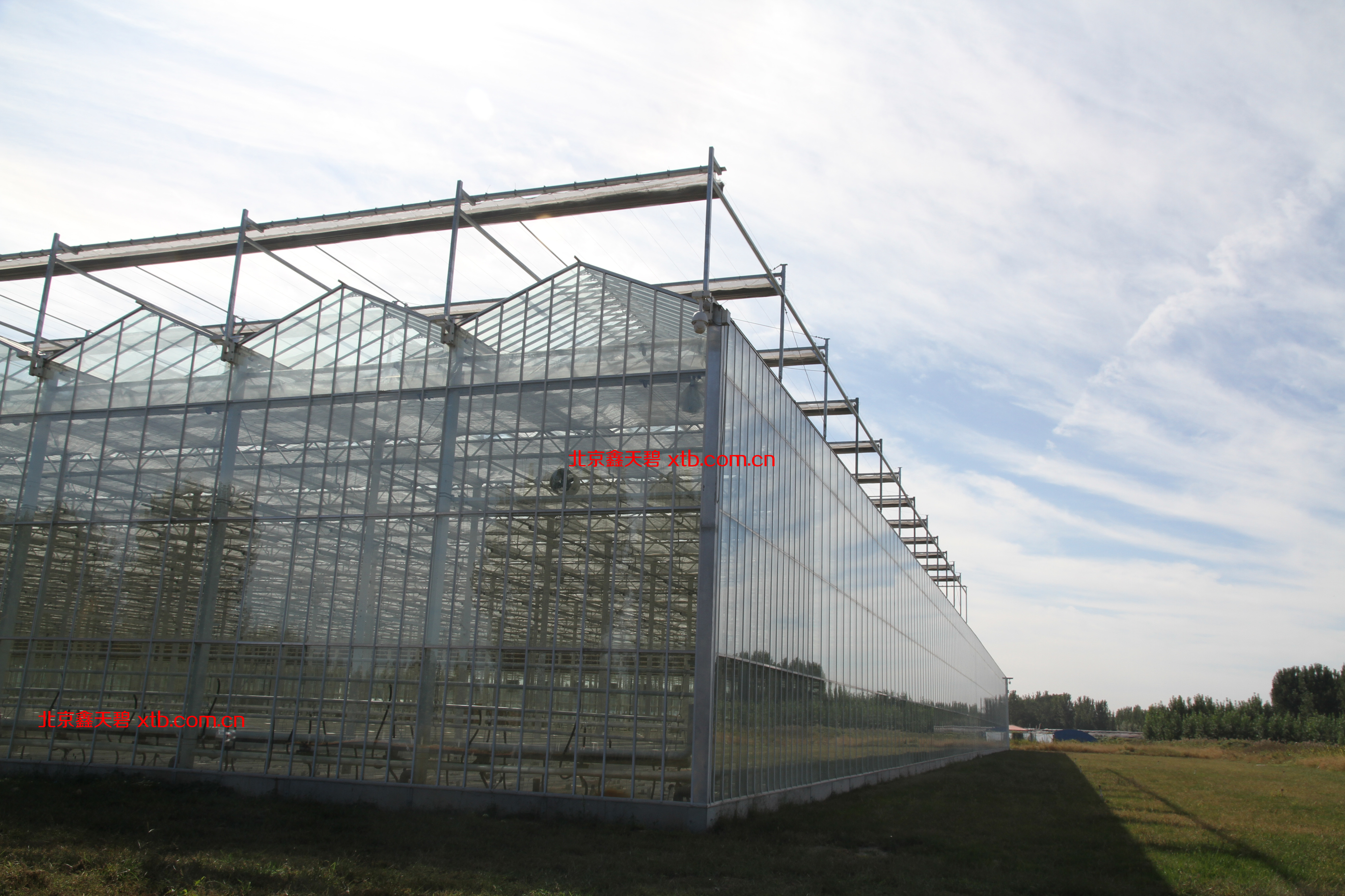 Glass greenhouse 玻璃温室展示